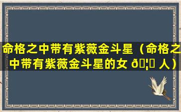 命格之中带有紫薇金斗星（命格之中带有紫薇金斗星的女 🦁 人）